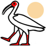 Thoth
